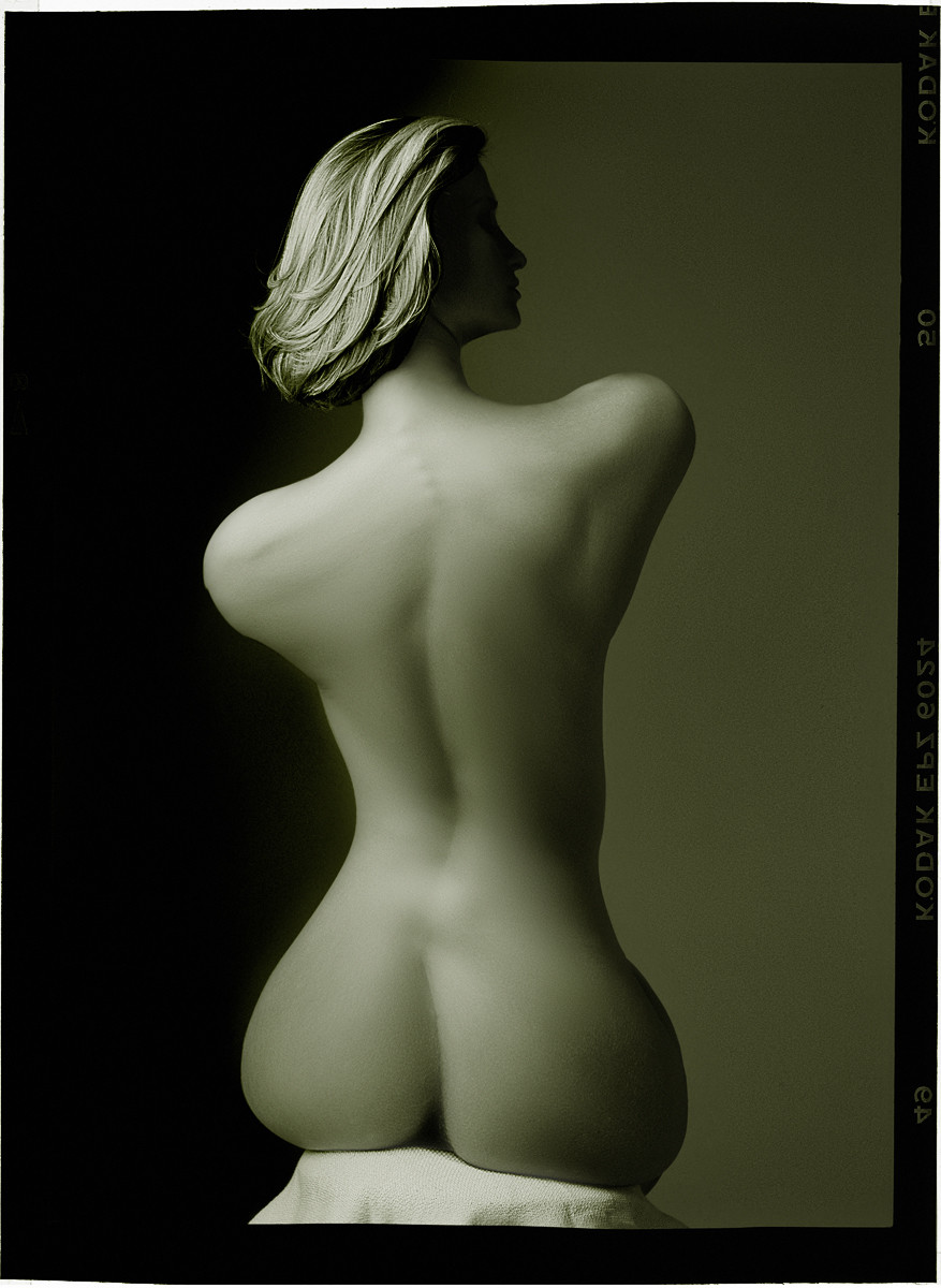 Torso hand colorized, smoothed and distorted in Live Picture